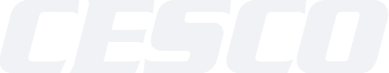 CESCO — Consolidated Engineering Systems Co.